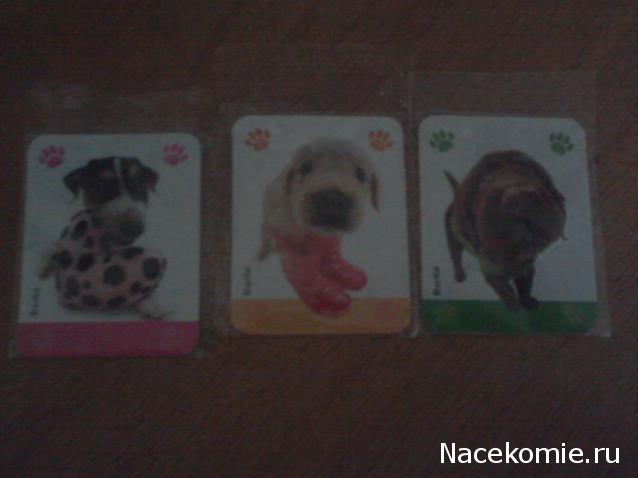 The Dog Collection Болталка