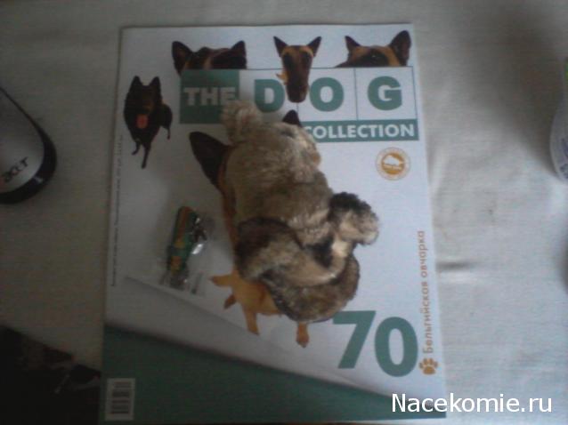 The Dog Collection №70 Бельгийская овчарка Малинуа