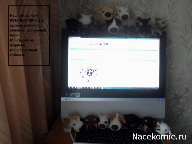 The Dog Collection Болталка