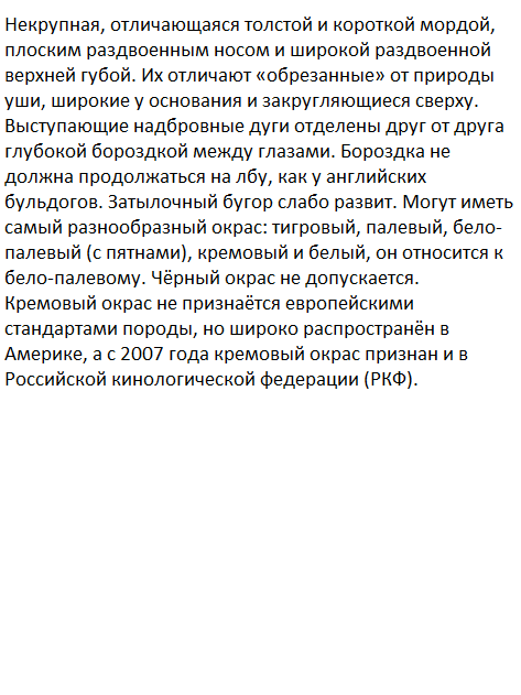 The Dog Collection Болталка
