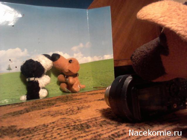 The Dog Collection Болталка