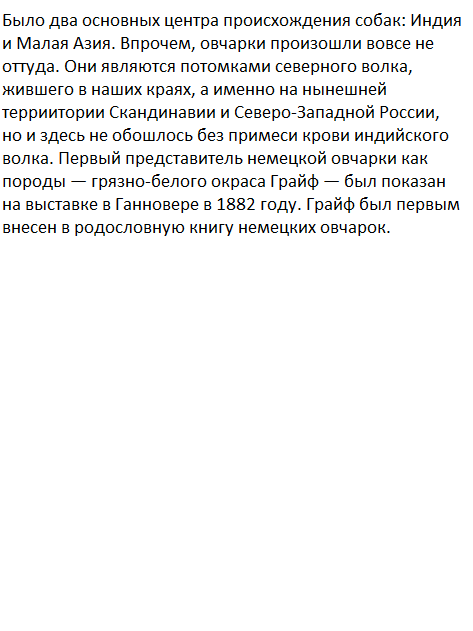 The Dog Collection Болталка