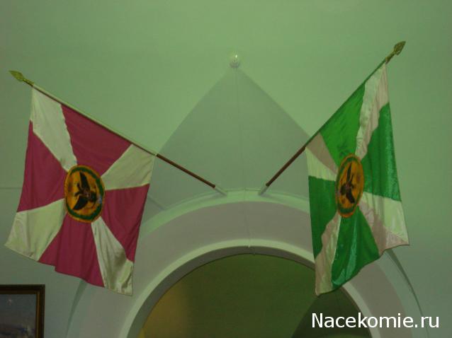 Фотоотчеты с Выставок