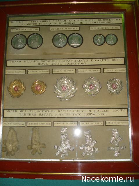 Фотоотчеты с Выставок