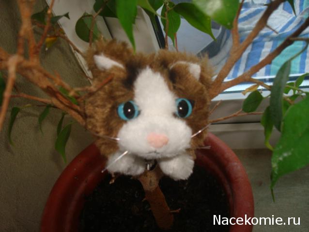 The Cat Collection №28 Рэгдолл Фото