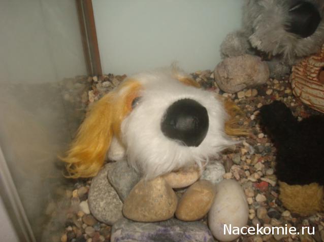 The Dog Collection Болталка