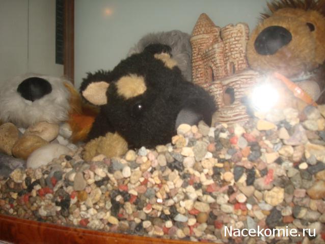 The Dog Collection Болталка