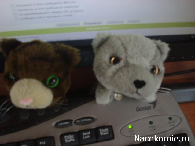 Кошкин дом. Болталка The Cat Collection