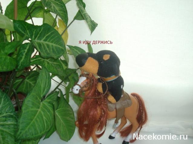 The Dog Collection Болталка