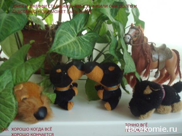 The Dog Collection Болталка