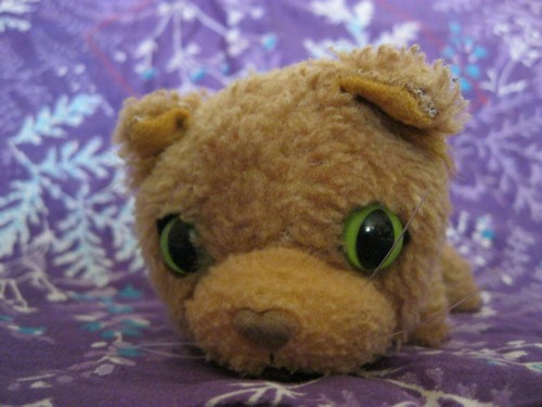 The Cat Collection №14 Сомалийский кот Фото