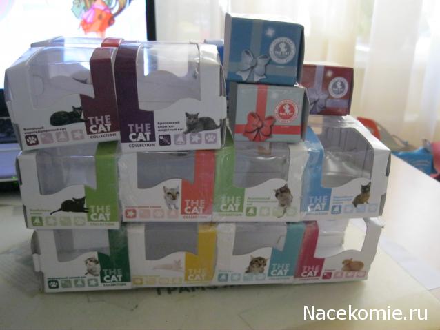 Кошкин дом. Болталка The Cat Collection