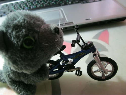 Кошкин дом. Болталка The Cat Collection