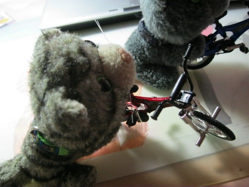 Кошкин дом. Болталка The Cat Collection