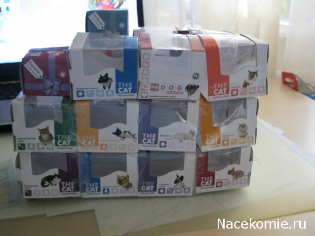 Кошкин дом. Болталка The Cat Collection