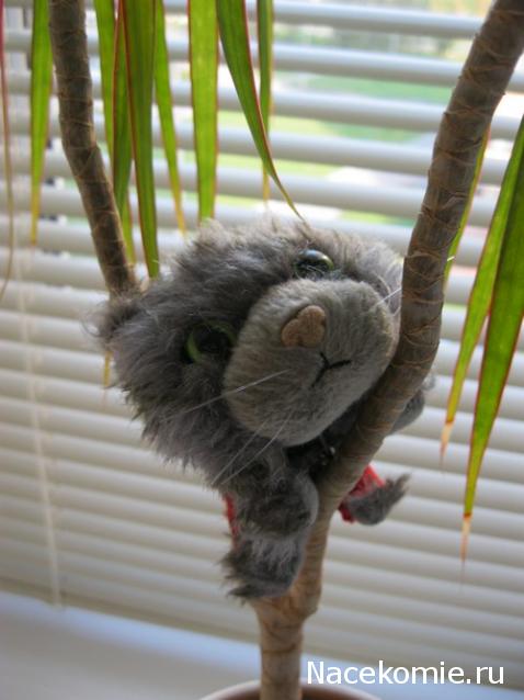 The Cat Collection №13 Норвежский лесной кот Фото