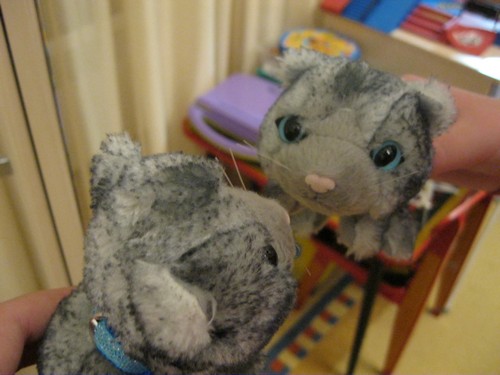 The Cat Collection №26 Балийская кошка Фото