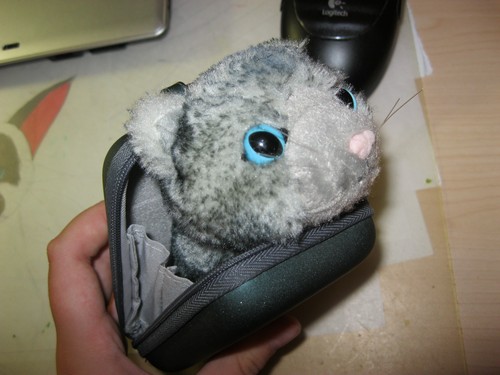 The Cat Collection №26 Балийская кошка Фото