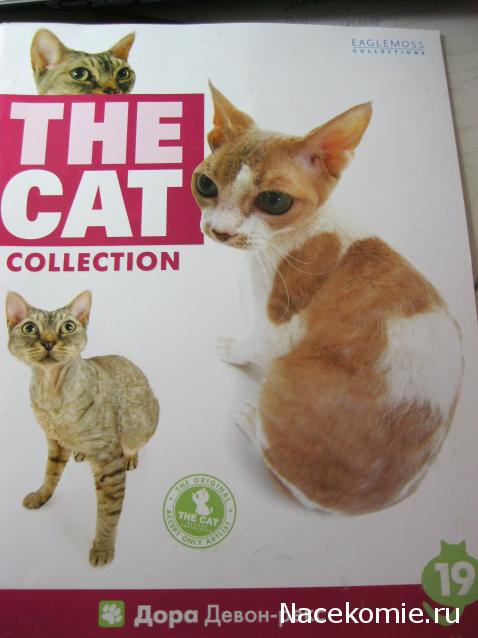 The Cat Collection №19 Девон-рекс Фото