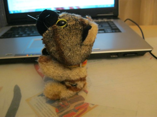 Кошкин дом. Болталка The Cat Collection