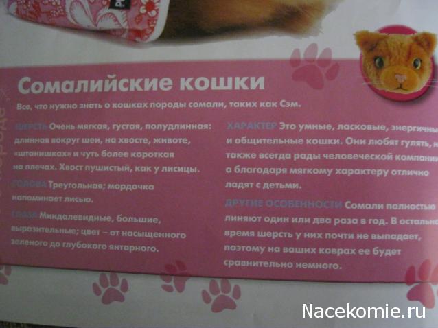 The Cat Collection №14 Сомалийский кот Фото