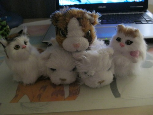 Кошкин дом. Болталка The Cat Collection