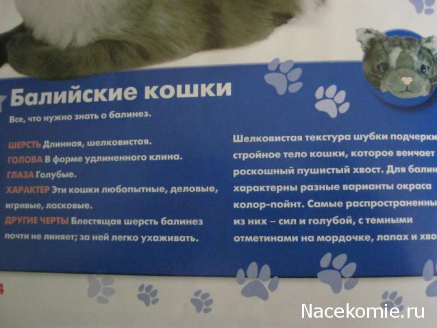 The Cat Collection №26 Балийская кошка Фото
