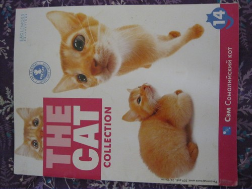 The Cat Collection №14 Сомалийский кот Фото