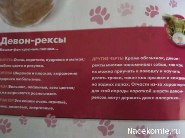 The Cat Collection №19 Девон-рекс Фото