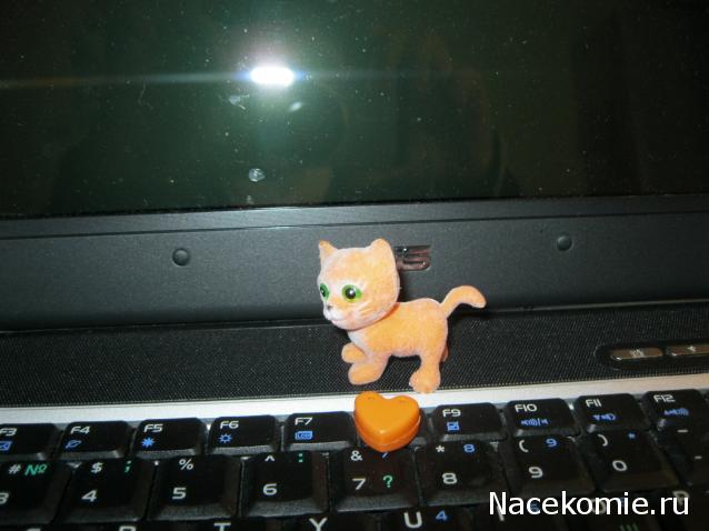 Кошкин дом. Болталка The Cat Collection