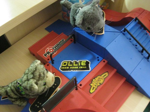 Кошкин дом. Болталка The Cat Collection