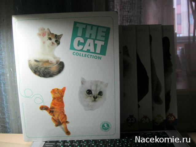 Кошкин дом. Болталка The Cat Collection