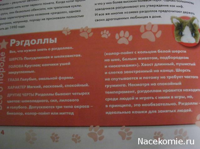 The Cat Collection №28 Рэгдолл Фото