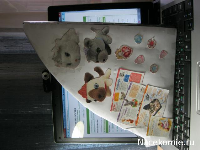 Кошкин дом. Болталка The Cat Collection