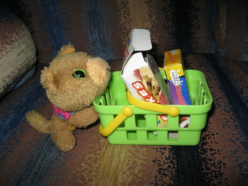 The Cat Collection №14 Сомалийский кот Фото