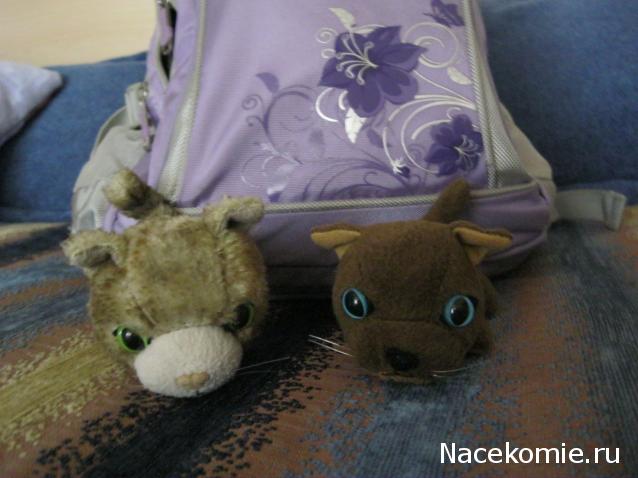 Кошкин дом. Болталка The Cat Collection