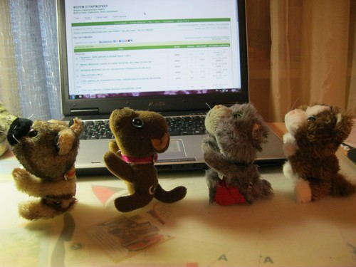 Кошкин дом. Болталка The Cat Collection