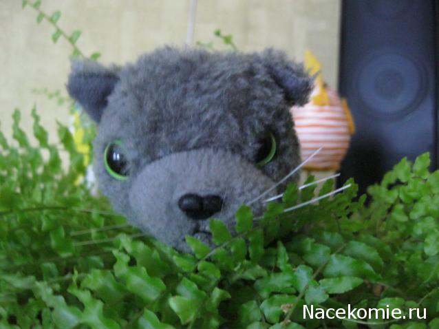 The Cat Collection № 3 Русская голубая Фото