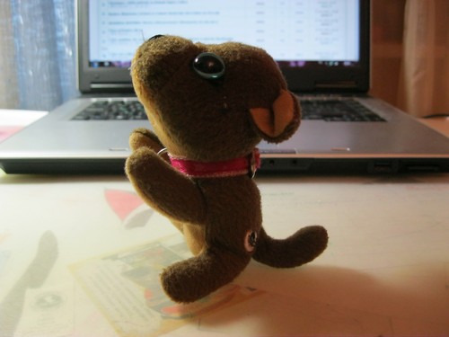 Кошкин дом. Болталка The Cat Collection