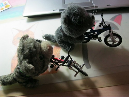 Кошкин дом. Болталка The Cat Collection