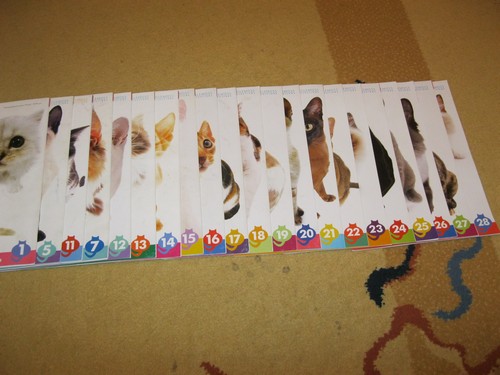 Кошкин дом. Болталка The Cat Collection