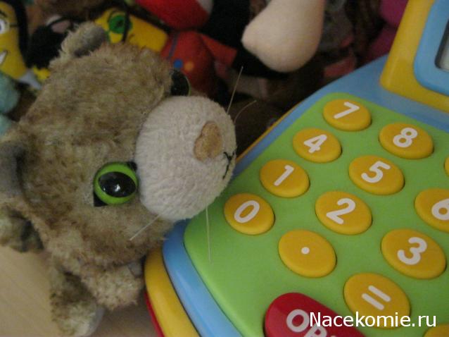 The Cat Collection №19 Девон-рекс Фото