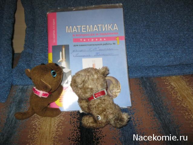 Кошкин дом. Болталка The Cat Collection