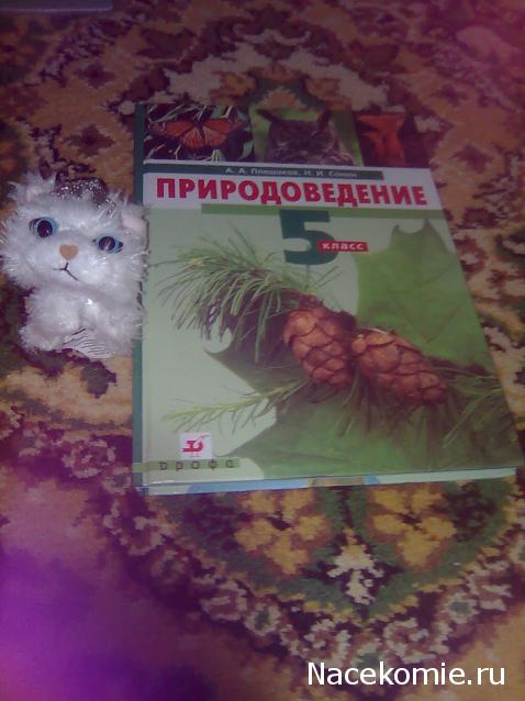 Кошкин дом. Болталка The Cat Collection