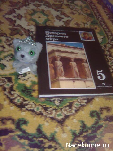 Кошкин дом. Болталка The Cat Collection