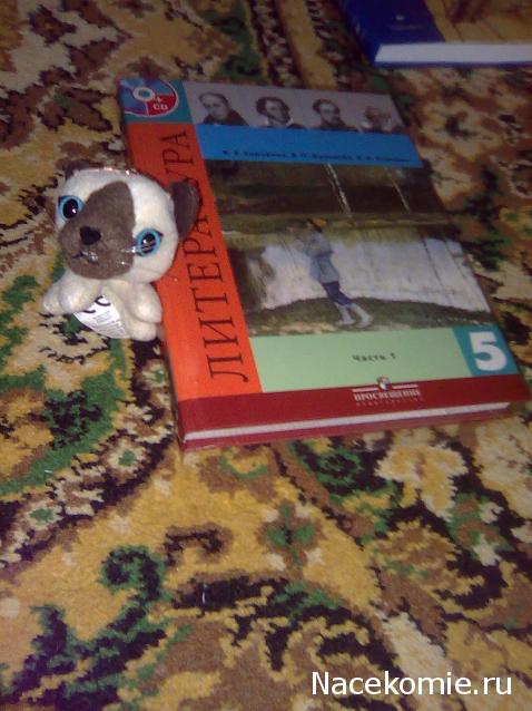 Кошкин дом. Болталка The Cat Collection