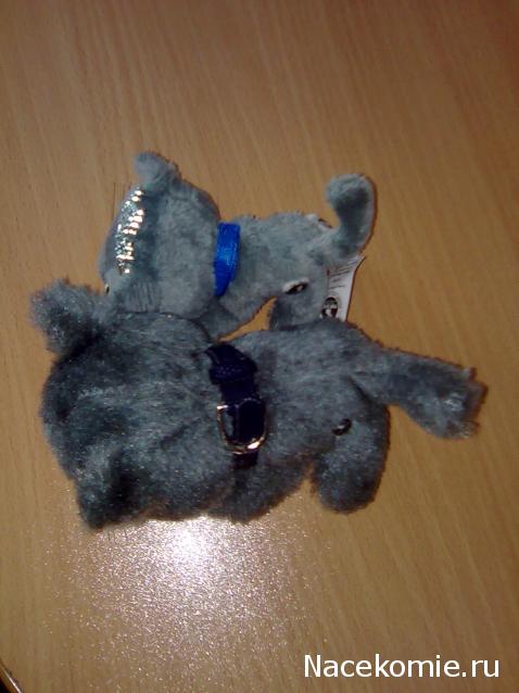 Кошкин дом. Болталка The Cat Collection