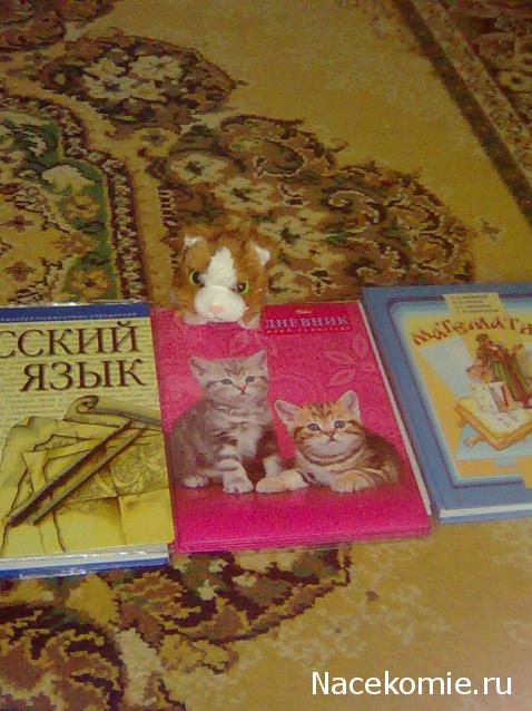 Кошкин дом. Болталка The Cat Collection