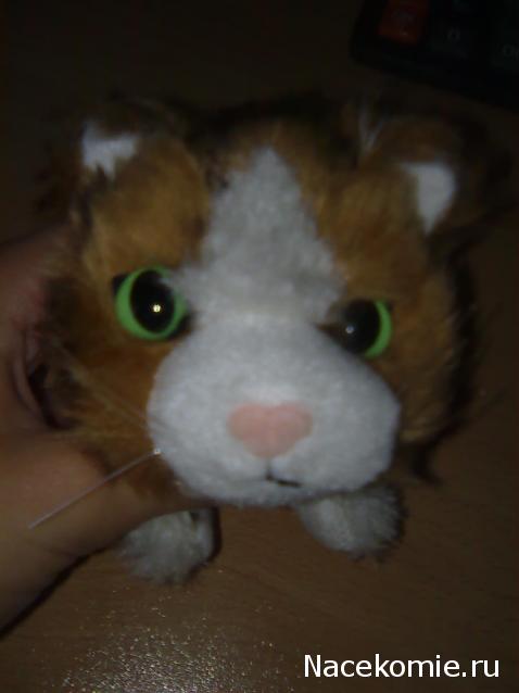 Кошкин дом. Болталка The Cat Collection