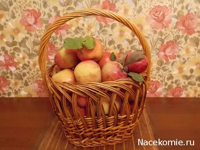 Жильцы Дома Мечты фото, ссылки, обсуждение